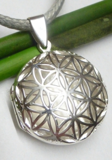 Art. 570